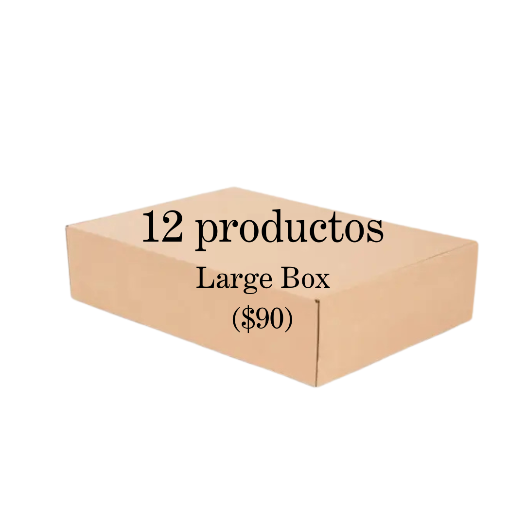 Makeup Large Box